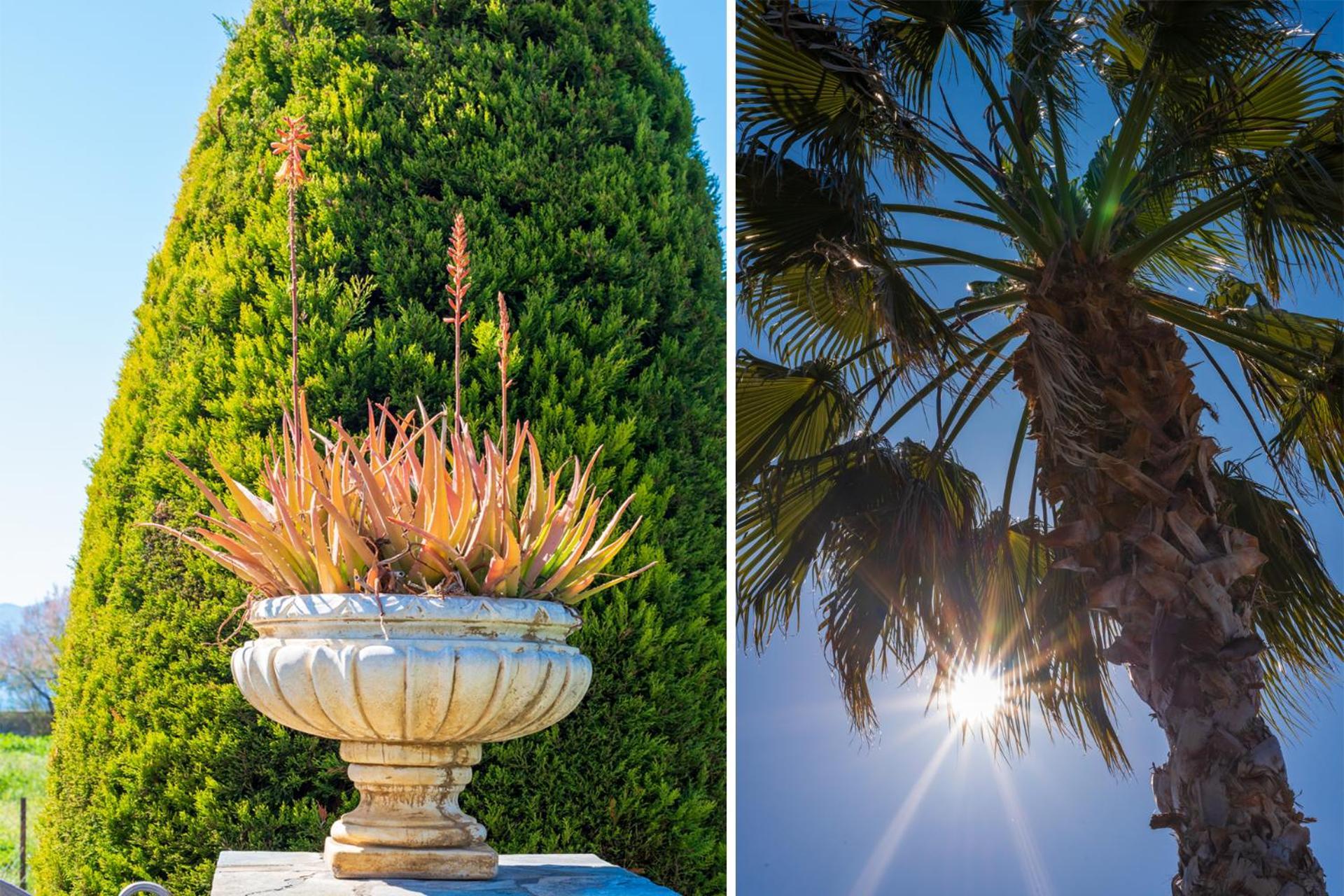 Christina'S Twin Palm Trees House Apartment Agria Exterior photo