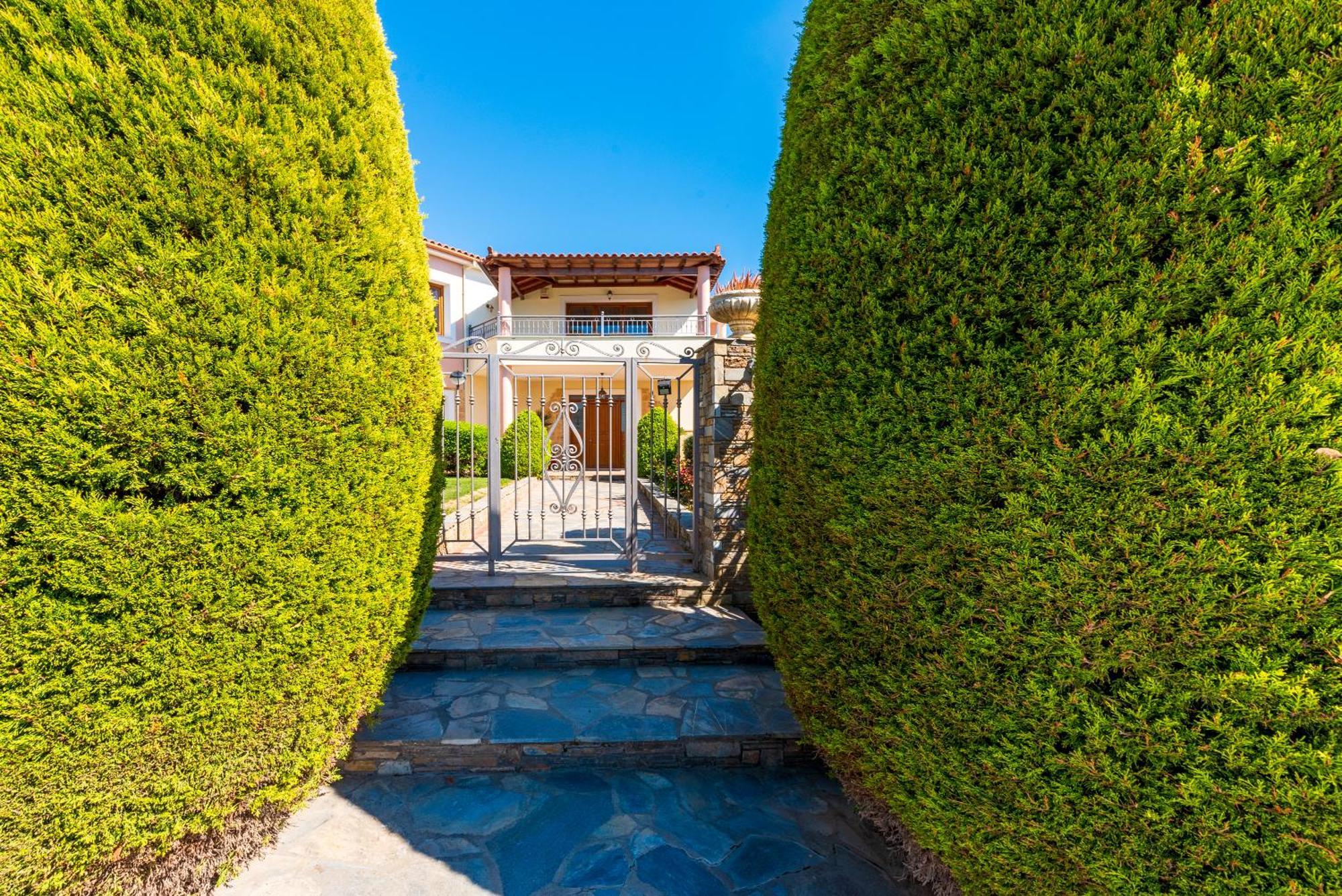 Christina'S Twin Palm Trees House Apartment Agria Exterior photo